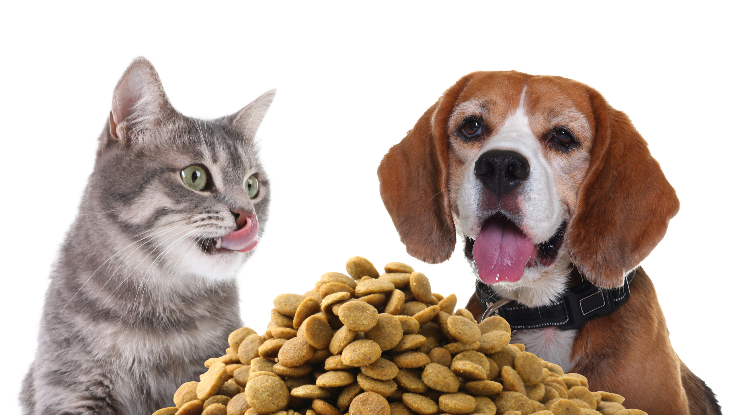 ASJ Pet Food Supply