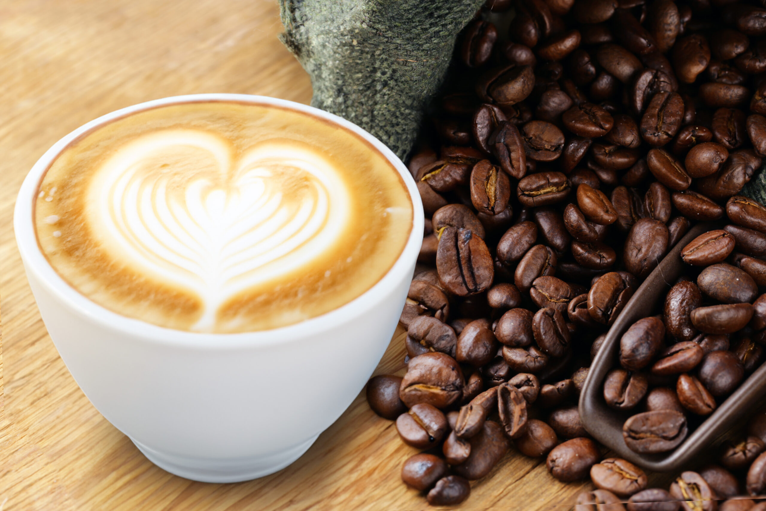 Blue Wonder Coffee & Bean Roastery Co.