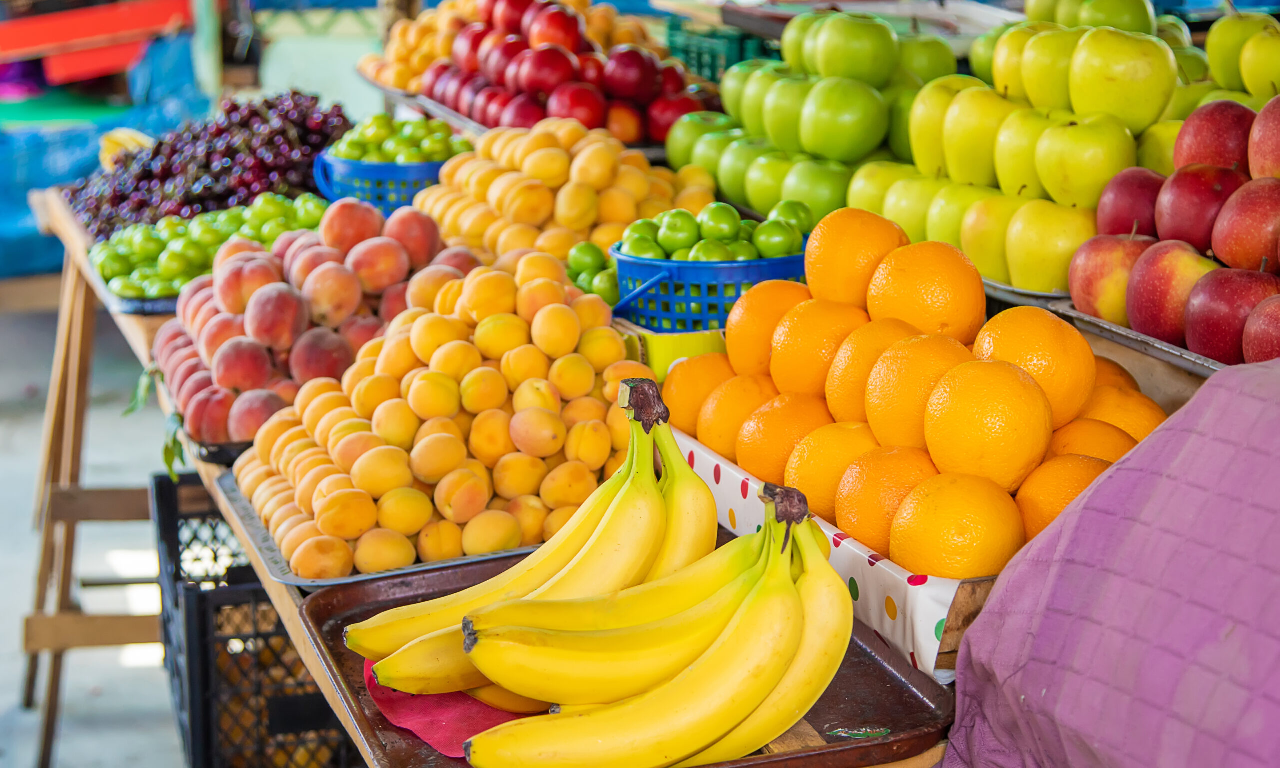 Abanico's Fruit Store