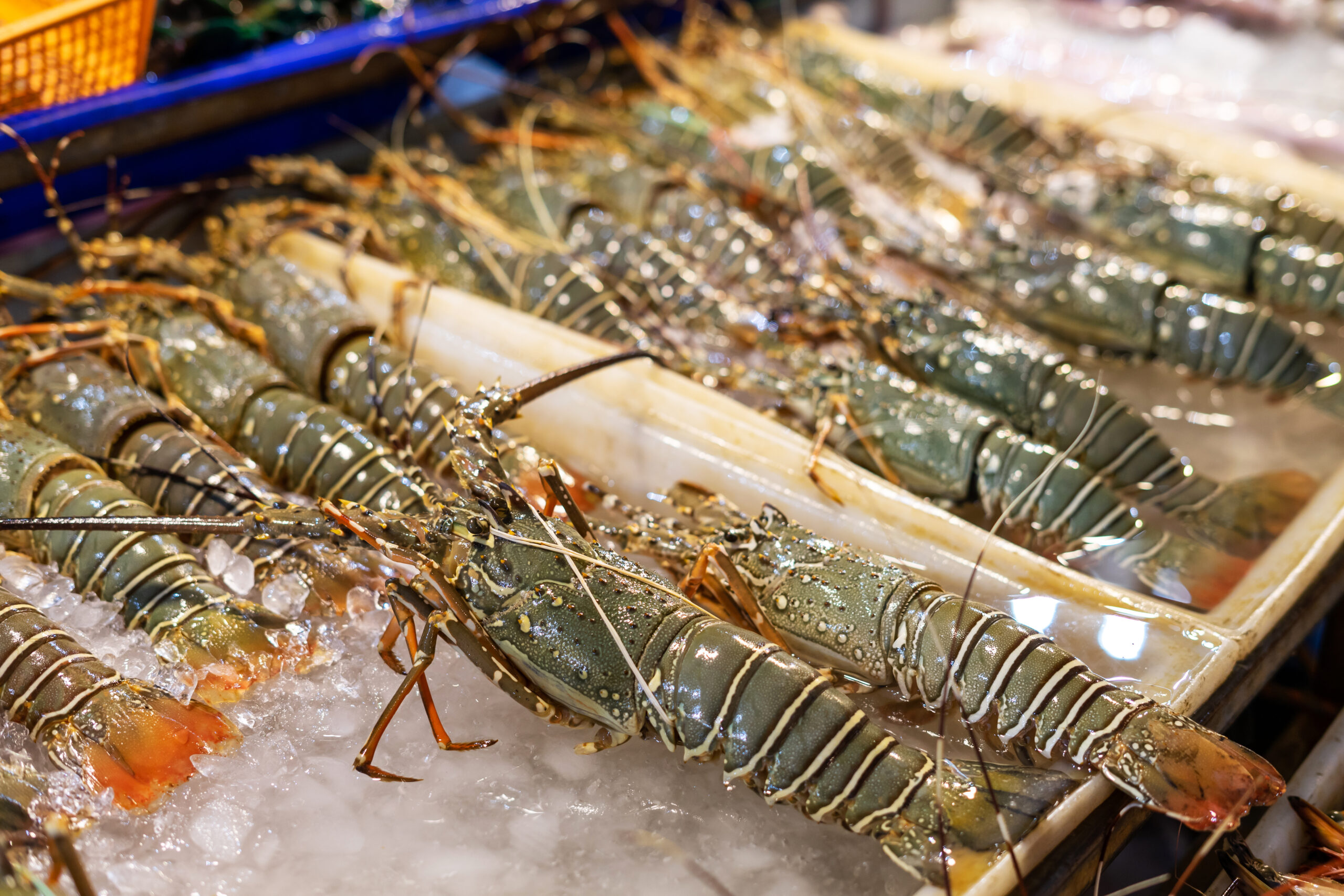 Arlan Seafoods Vendor