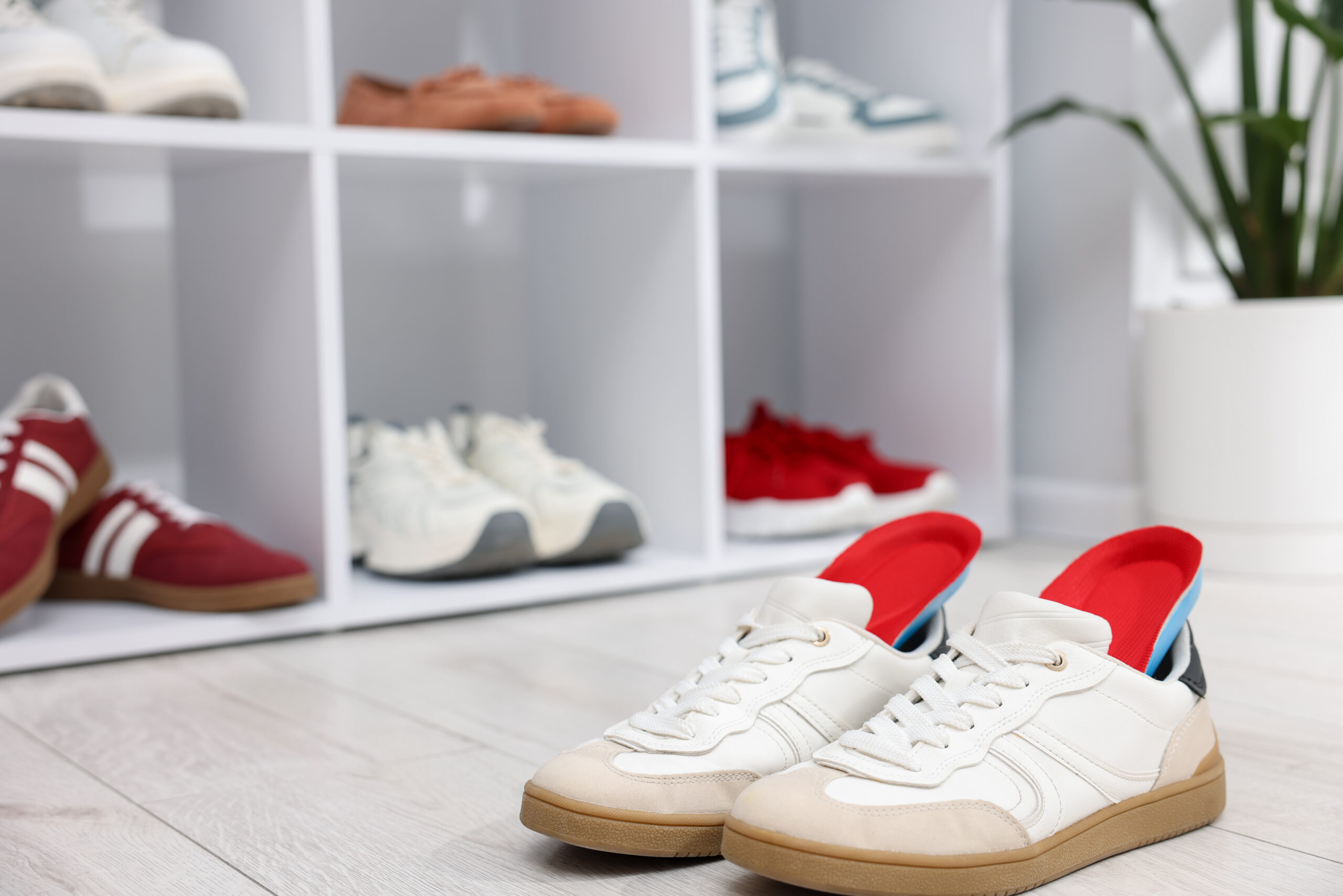 3Kicks Shoes Shop